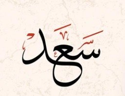 سعد الدسوقي